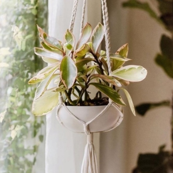 ALTRU Macrame Plant Hanger Rope Bohemian Decor - Picture 5 of 7